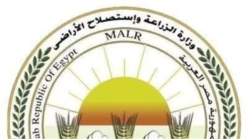 «الزراعة» تعلن فتح السوق الأوزبكي أمام صادرات مصر من الفراولة الطازجة