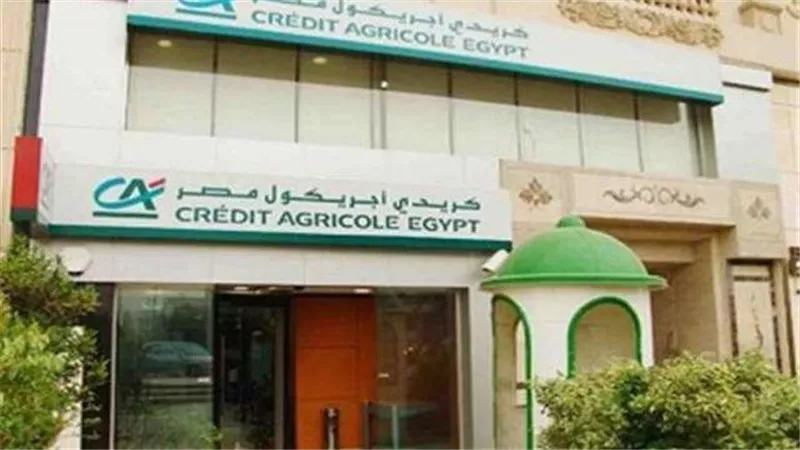 6.9 مليار جنيه أرباح 