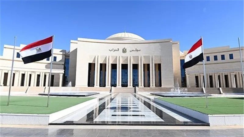 برلمان مصر يتخذ خطوات لحماية مستخدمي الإنترنت من نفاد الباقات المبكر