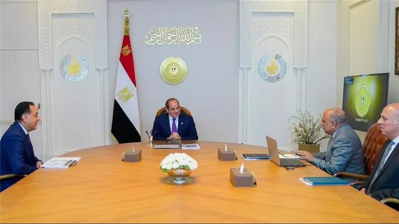 السيسي يطلع على خطة الكهرباء لتأمين صيف 2026 ويؤكد تعزيز الطاقة المتجددة