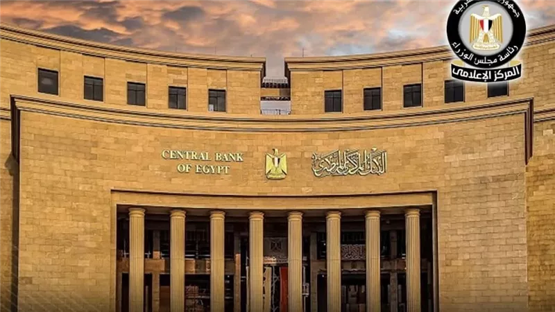 «رواد النيل» تقدم 1.16 مليون خدمة وتدعم تمويل 14 ألف مشروع بـ19 مليار جنيه