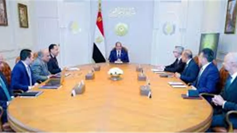 الرئيس السيسي يستقبل قيادات سكاتك وإنفجين لتعزيز استثمارات الطاقة المتجددة