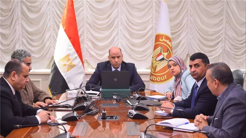 وزير العمل لمكاتب التمثيل العمالي بالخارج: 