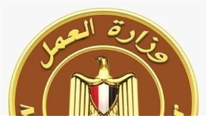 وزارة العمل تحذّر من صفحات وهمية تدّعي تسجيل العمالة غير المنتظمة وصرف منح إلكترونيًا