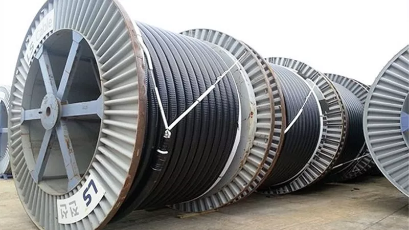 تراجع أرباح شركة الكابلات الكهربائية المصرية 62% خلال 2025