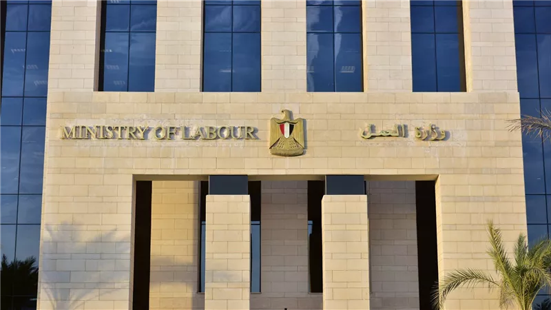 وزارة العمل تطلق نشرة توظيف أسبوعية بـ2289 فرصة عمل للشباب