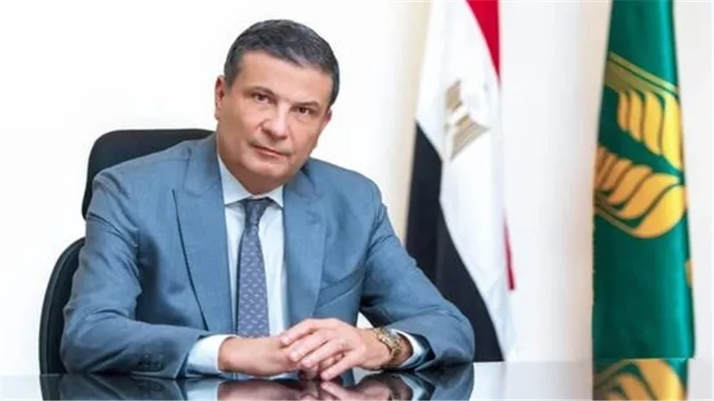 وزارة الزراعة: ارتفاع أسعار الطماطم طبيعي  وسينخفض قريبًا