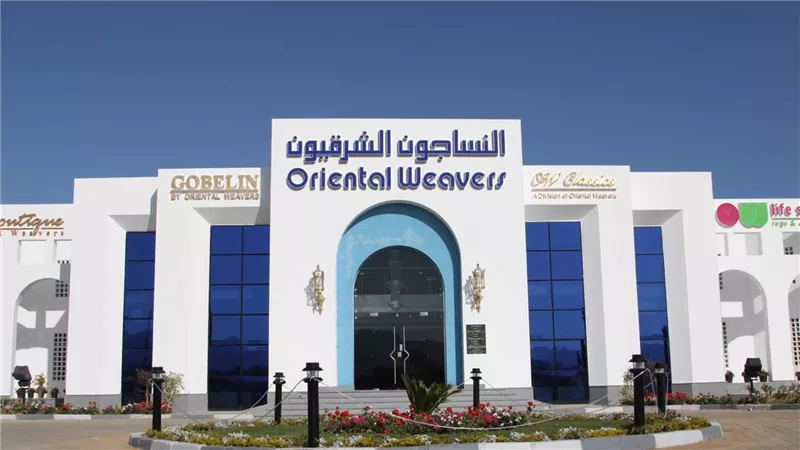 997.6 مليون جنيه إجمالي التوزيعات النقدية لـ «النساجون الشرقيون» على المساهمين