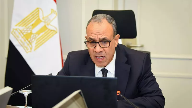 بدر عبد العاطي يطمئن الجالية المصرية في الأردن خلال اجتماع افتراضي 