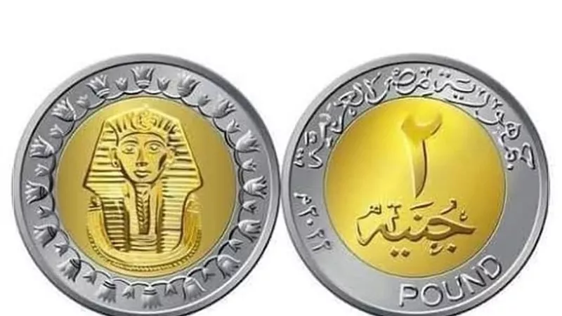 الشيوخ يوافق على عملة 2 جنيه لحل أزمة الفكة