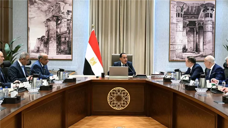 رئيس الوزراء يلتقي المدير العام لـ