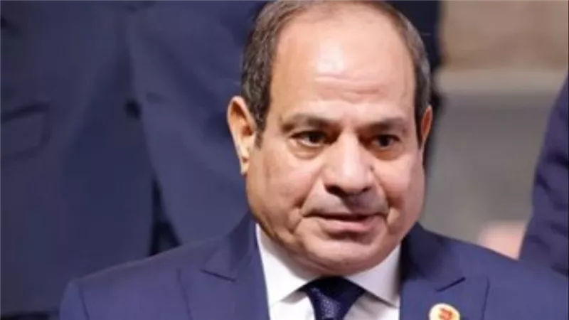 السيسي : مصر تدين إطلاق النار في محيط البيت الأبيض وتؤكد رفض العنف السياسي والإرهاب 