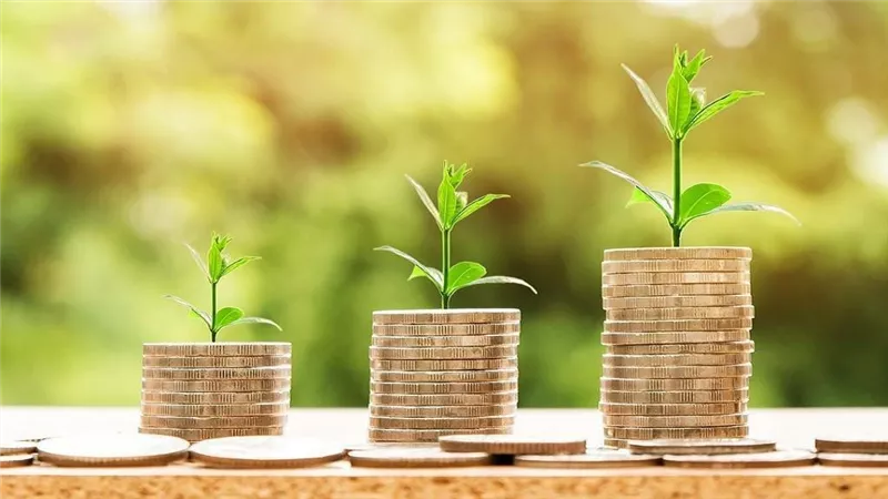 «جو جرين» تحقق أرباح  55.9 مليون جنيه خلال 2025