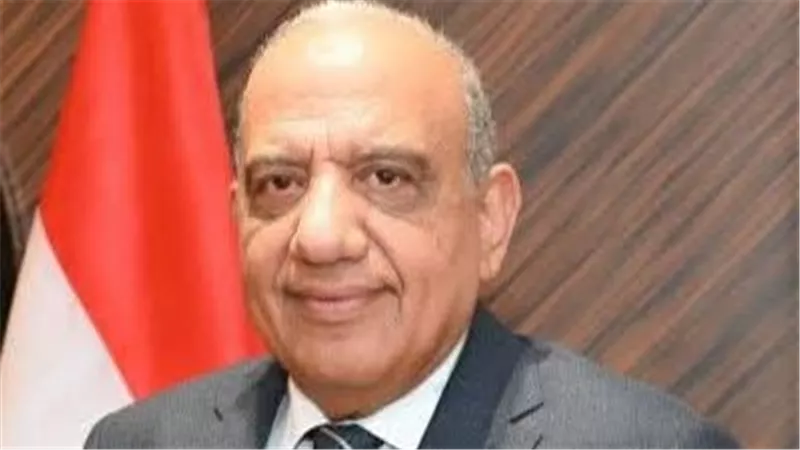 وزير الكهرباء : التكامل الكهربائي الإقليمي ضرورة استراتيجية لتعزيز أمن الطاقة 