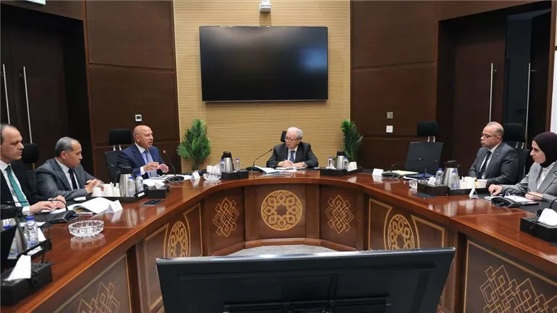 نائب رئيس الوزراء للشؤون الاقتصادية يبحث مع وزير النقل تطورات مشروع القطار الكهربائي السريع