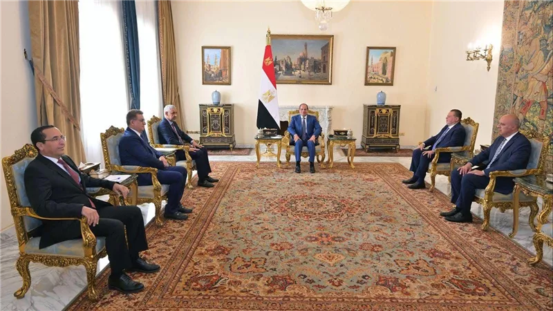 الرئيس السيسي يستعرض الشراكة الاستراتيجية مع 