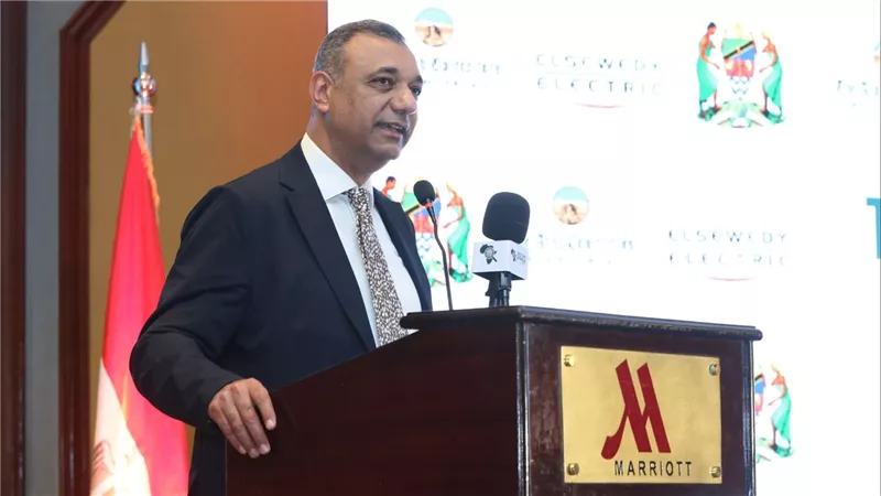 مشروعات السويدي إليكتريك في تنزانيا تعزز الشراكة المصرية الأفريقية وتدعم التنمية المستدامة