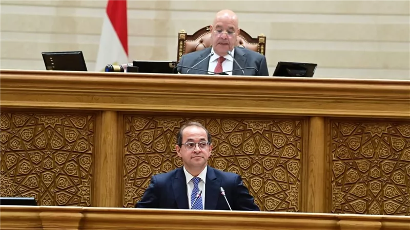  وزير المالية: نستهدف خفض الدين إلى 78% وتحقيق فائض أولي 5%