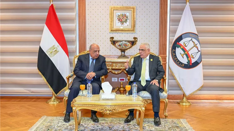 تعاون بين النيابة العامة ووزارة الكهرباء لتأهيل مأموري الضبط القضائي وحماية المال العام