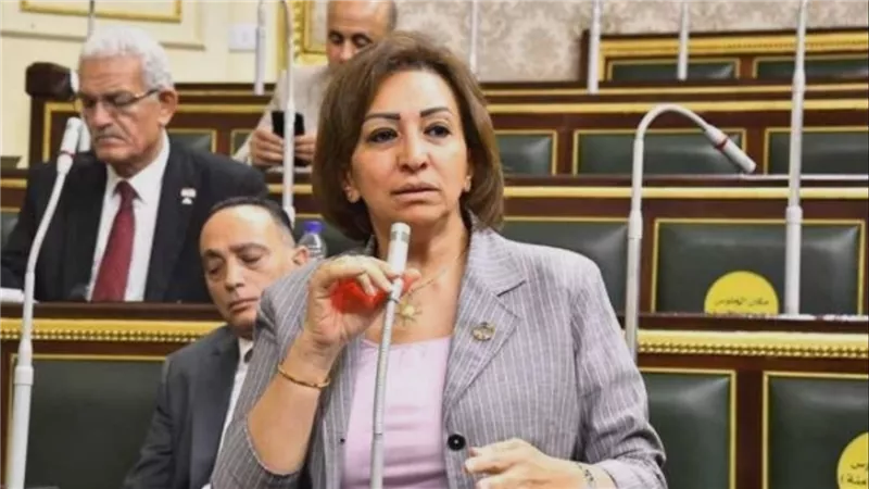 برلمانية تنتقد زيادة أسعار 