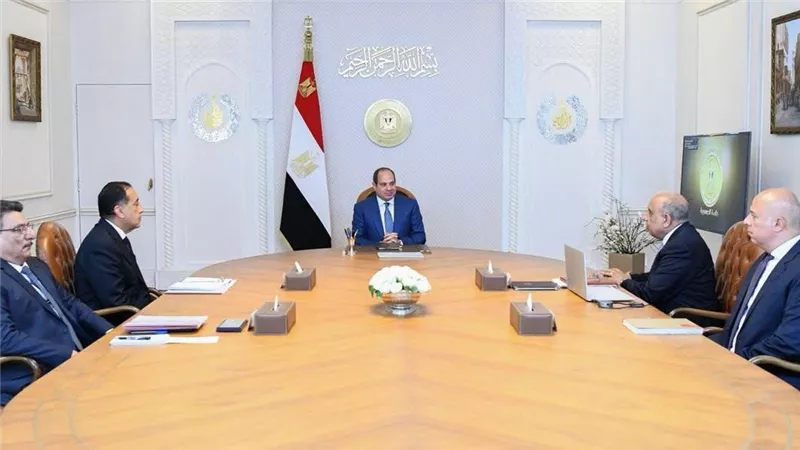 السيسي يوجه بالإسراع في مشروعات الطاقة النظيفة لرفع حصتها إلى 45% بحلول 2028