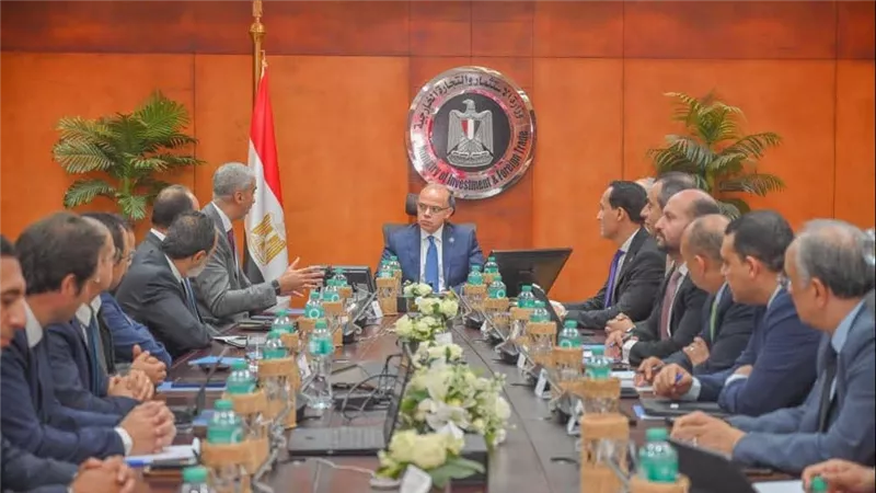 وزير الاستثمار يبحث مع ڤودافون تسريع التحول الرقمي للتجارة 