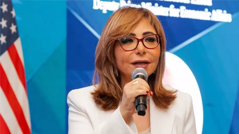 تصريحات جريئة خلف الأبواب المغلقة.. نائب رئيس الوزراء يصف وضع الدين بـ 