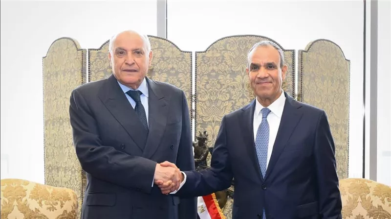 وزيرا خارجية مصر والجزائر يبحثان تعزيز التعاون وتطورات المنطقة