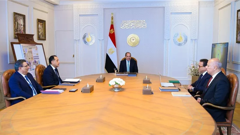 السيسي يوجه بتسريع ميكنة 