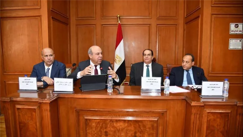 وزير الطيران يستعرض استراتيجية تطوير قطاع الطيران أمام مجلس الشيوخ