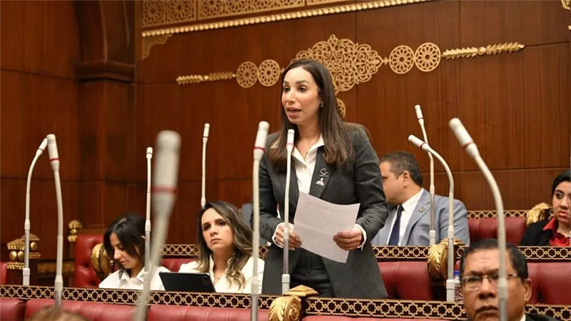 حنان وجدي: ضرورة حوكمة رقمية وضبط احتساب الاستثمارات والالتزام بالاستحقاق الدستوري للتعليم والصحة