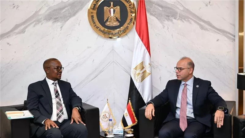 مصر وجنوب أفريقيا تبحثان تعزيز التكامل الاقتصادي والتصنيع المشترك بالقارة