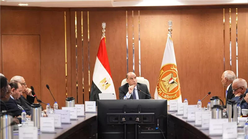 صندوق الطوارئ يدعم 441 ألف عامل بـ2.5 مليار جنيه