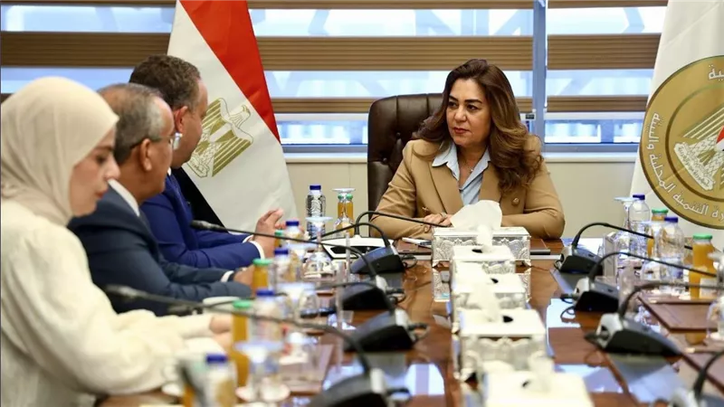 وزيرة التنمية المحلية والبيئة تبحث مع المهندسين تعزيز التعاون التنموي المشترك