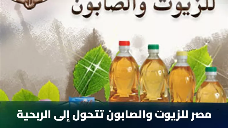 من الخسارة إلى الأرباح.. ميزانية 