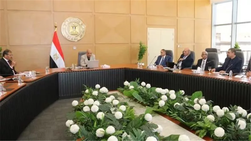 وزير الكهرباء يبحث مع خبراء الجامعات دعم الشبكة القومية والتوسع في الطاقة المتجددة