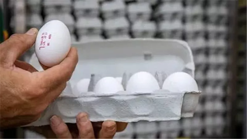 صحة الاحتلال تحذر من 