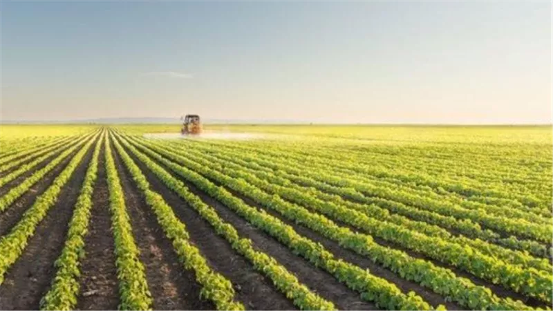 جدوى للتنمية الصناعية تعتمد عقود معاوضة بقيمة ملياري جنيه مع الدولية للمحاصيل الزراعية خلال 2026