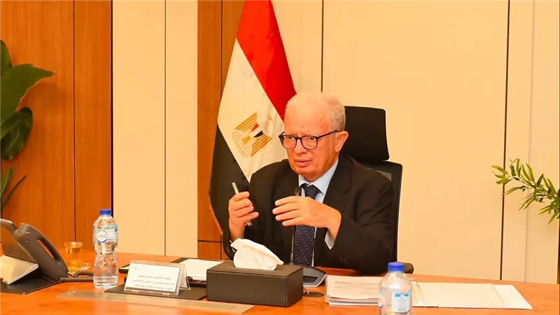 نائب رئيس الوزراء يعتمد توزيع 1.061 مليار جنيه أرباحًا إضافية لـ5 شركات قابضة دعمًا للخزانة العامة