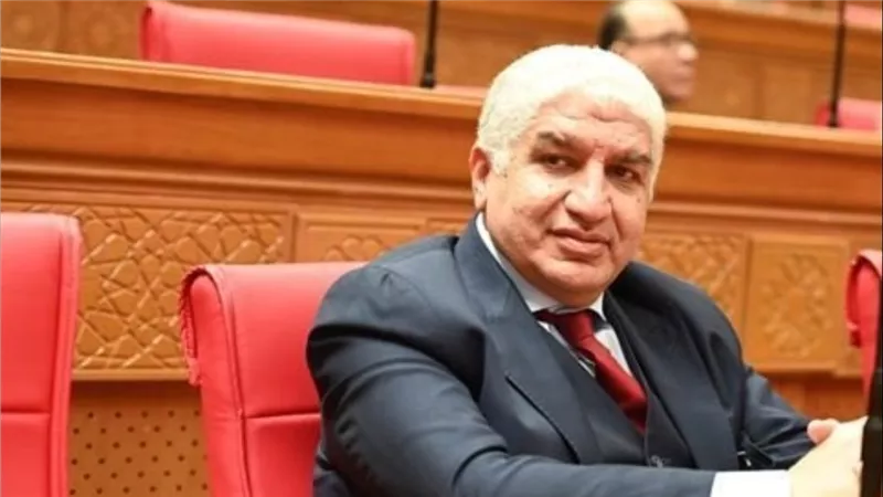 سؤال برلماني حول تكلفة ومعايير اختيار البعثة الإعلامية لمنتخب مصر