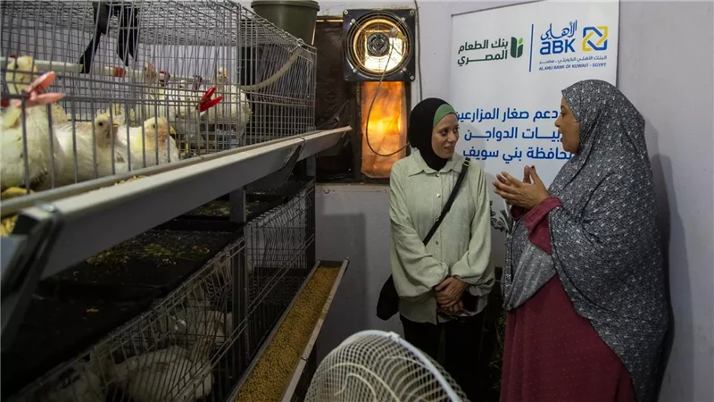 البنك الأهلي الكويتي – مصر وبنك الطعام المصري يطلقان شراكة لدعم صغار المزارعين ومربيات الدواجن في بني سويف