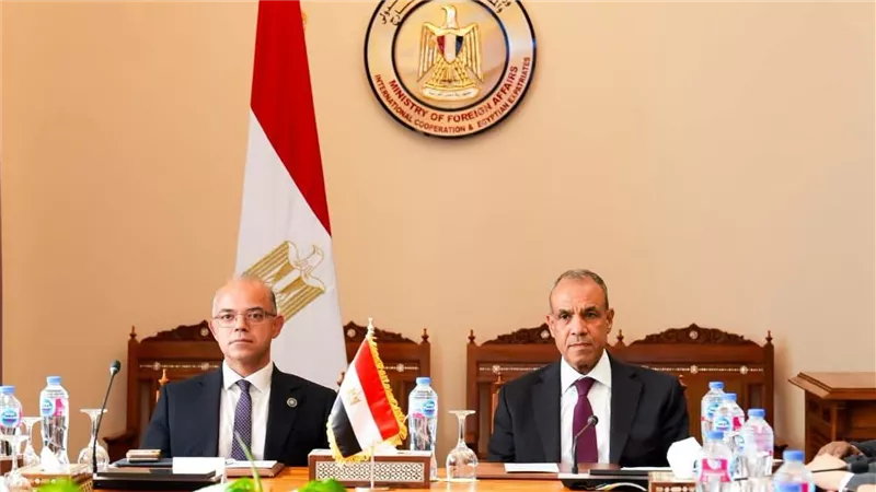 وزيرا الخارجية والاستثمار يبحثان تنسيق السياسات وتكامل الجهود لدعم استثمارات الشركات المصرية في إفريقي