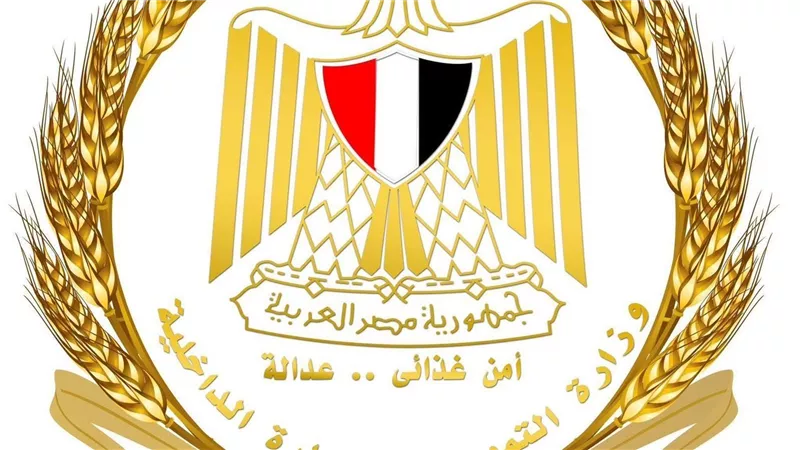 التموين تواصل تنقية البطاقات التموينية وتتيح التظلمات