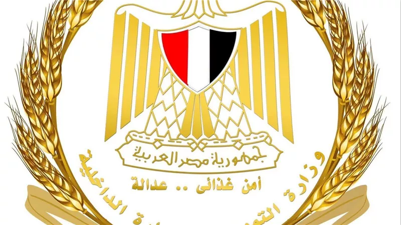 التموين تضبط 130 طنًا سلعًا مخالفة وتحبط تهريب البوتاجاز والسولار بإحدى عشرة محافظة