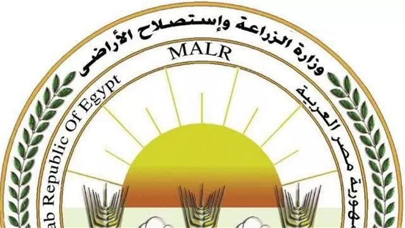الزراعة: تحصين أكثر من مليون طائر خلال يونيو بالمحافظات