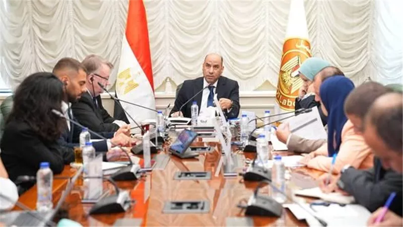 وزير العمل ومنظمة العمل الدولية يضعان خارطة طريق وخطة تنفيذية لإطلاق البرنامج الوطني للعمل اللائق في مصر 