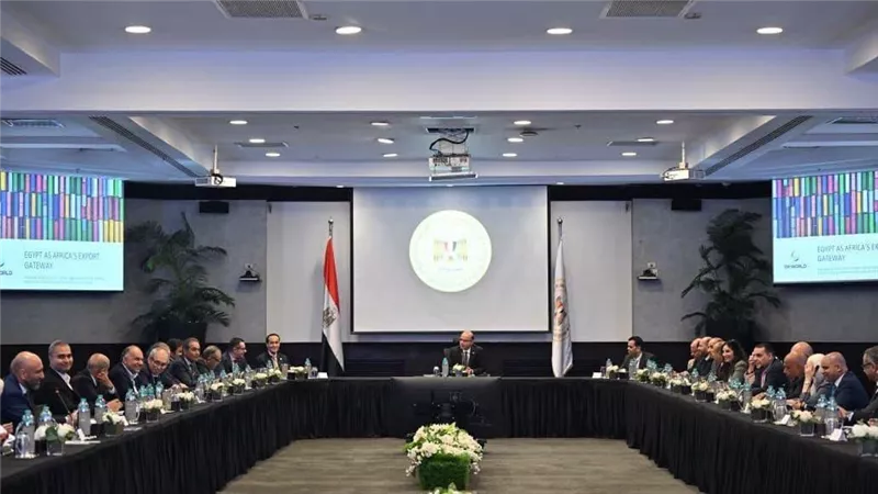 وزير الاستثمار يبحث مع موانئ دبي شراكة لزيادة الصادرات المصرية وتعزيز النفاذ لإفريقيا عالميًا