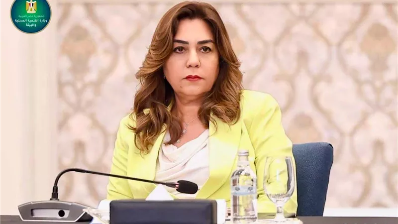 التنمية المحلية تعلن تنفيذ 134 برنامجًا تدريبيًا واعتماد مركز سقارة وتطوير منظومة القدرات المؤسسية