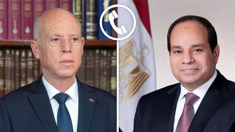 السيسي يؤكد دعم تونس ويبحث مع قيس سعيد تطورات المنطقة