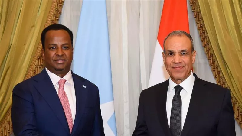 وزير الخارجية ونظيره الصومالي يبحثان سبل تعزيز العلاقات الثنائية وتطورات الأوضاع في منطقة القرن الأفريقي